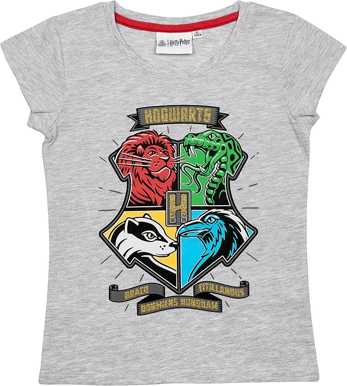 Harry Potter T - skjorte Hogwarts Houses - Supernerds