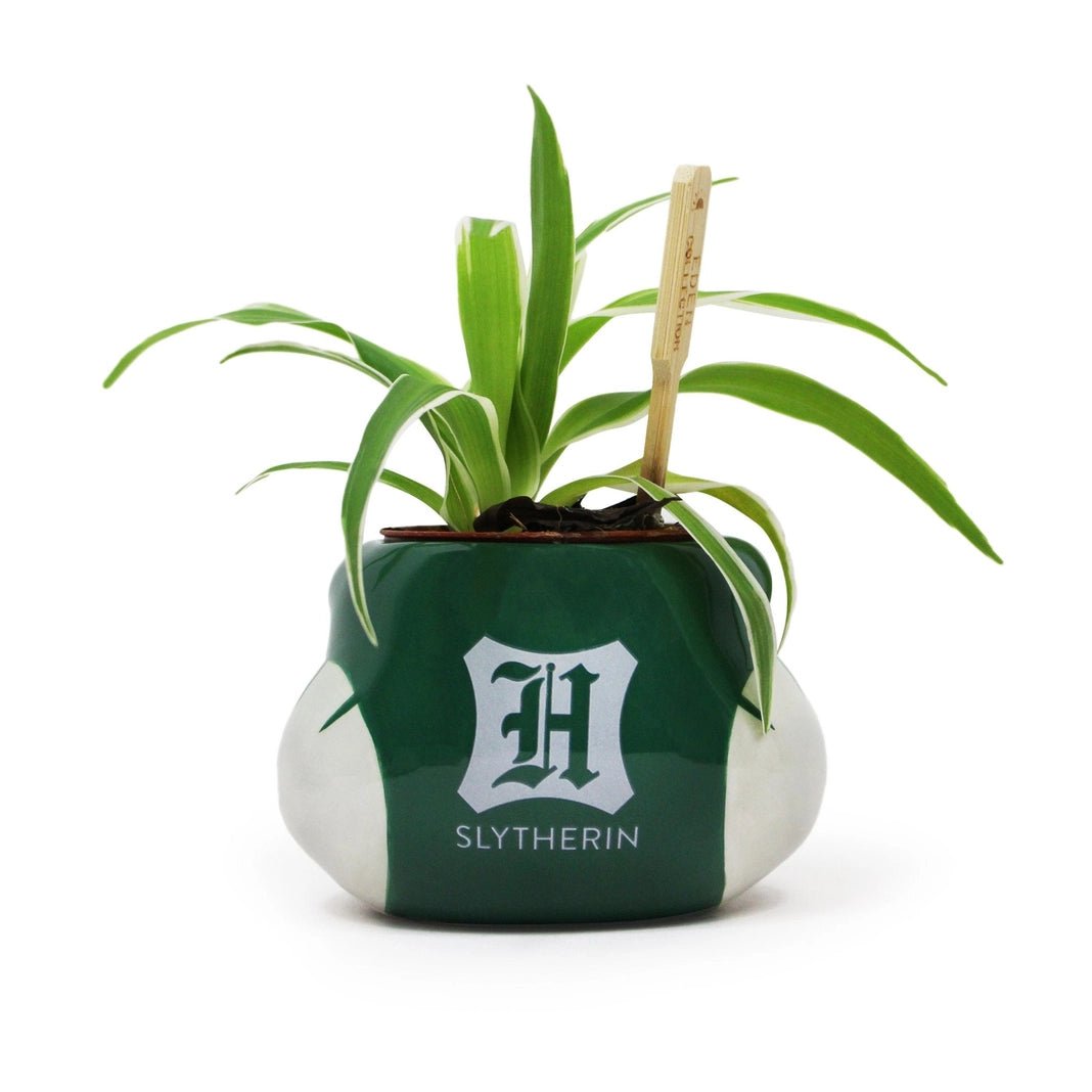 Harry Potter Vase Slytherin - Supernerds