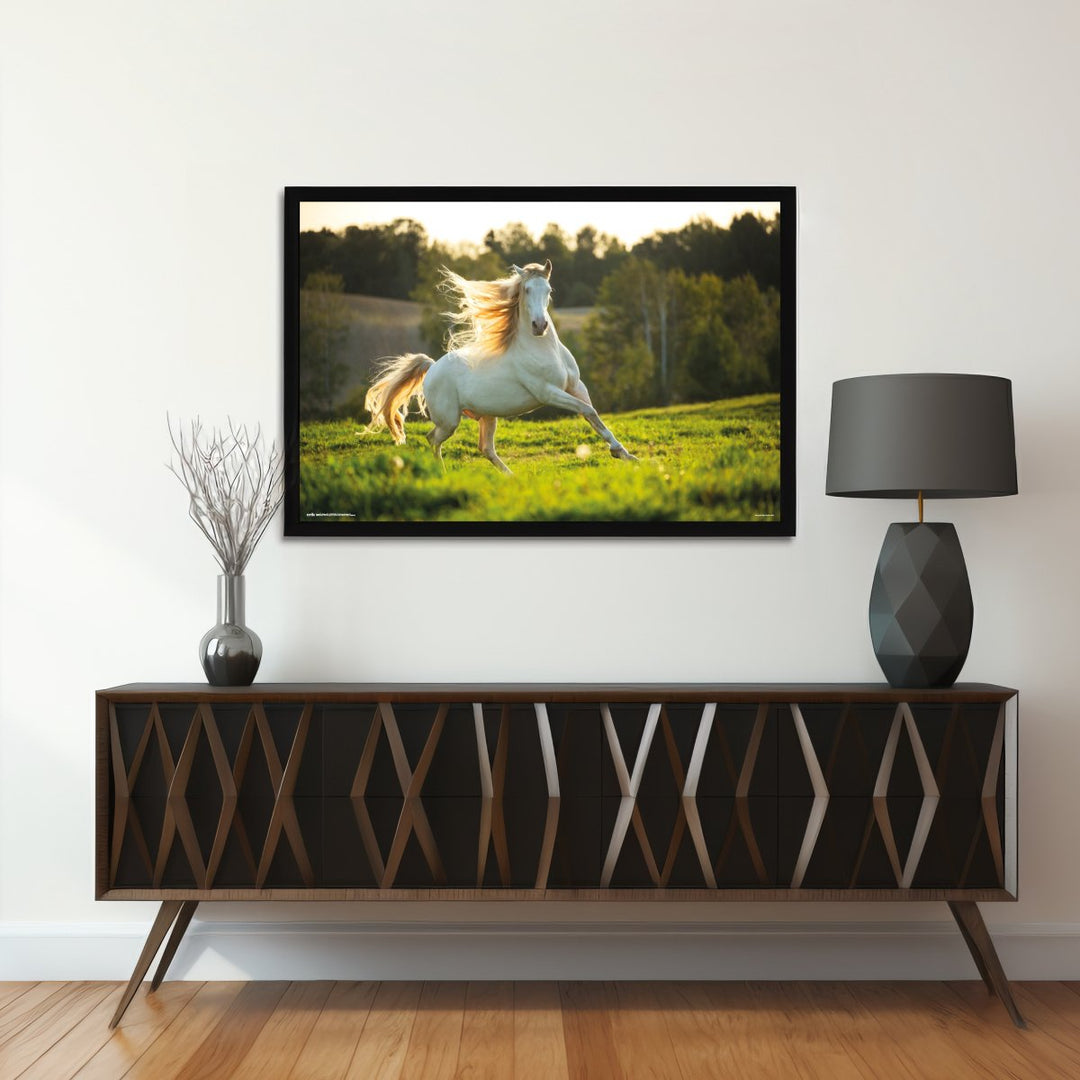 Hvit Hest Plakat - Supernerds