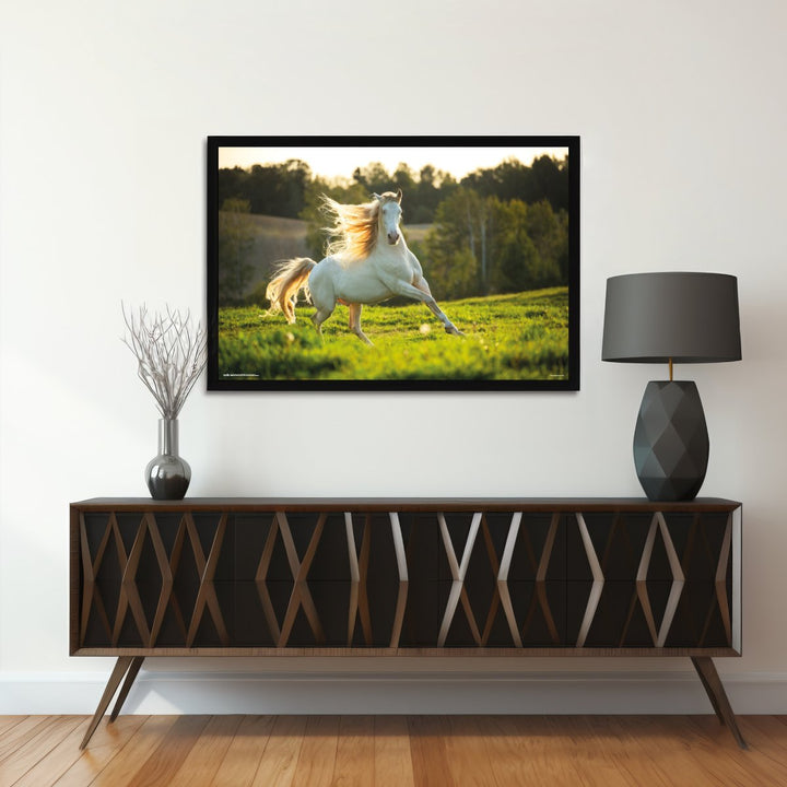 Hvit Hest Plakat - Supernerds