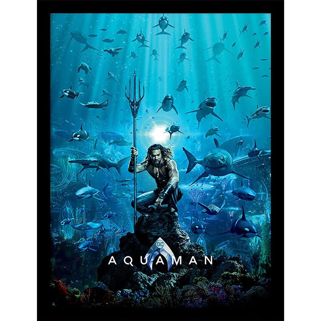 DC Innrammet Bilde 30 x 40 cm Aquaman - Supernerds